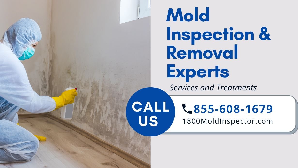 Residential Mold Inspections and Removal